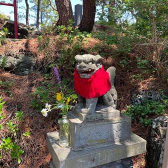 狛犬さんが手編みのベストを着てます
地域から愛されてる神社なんでしょうね