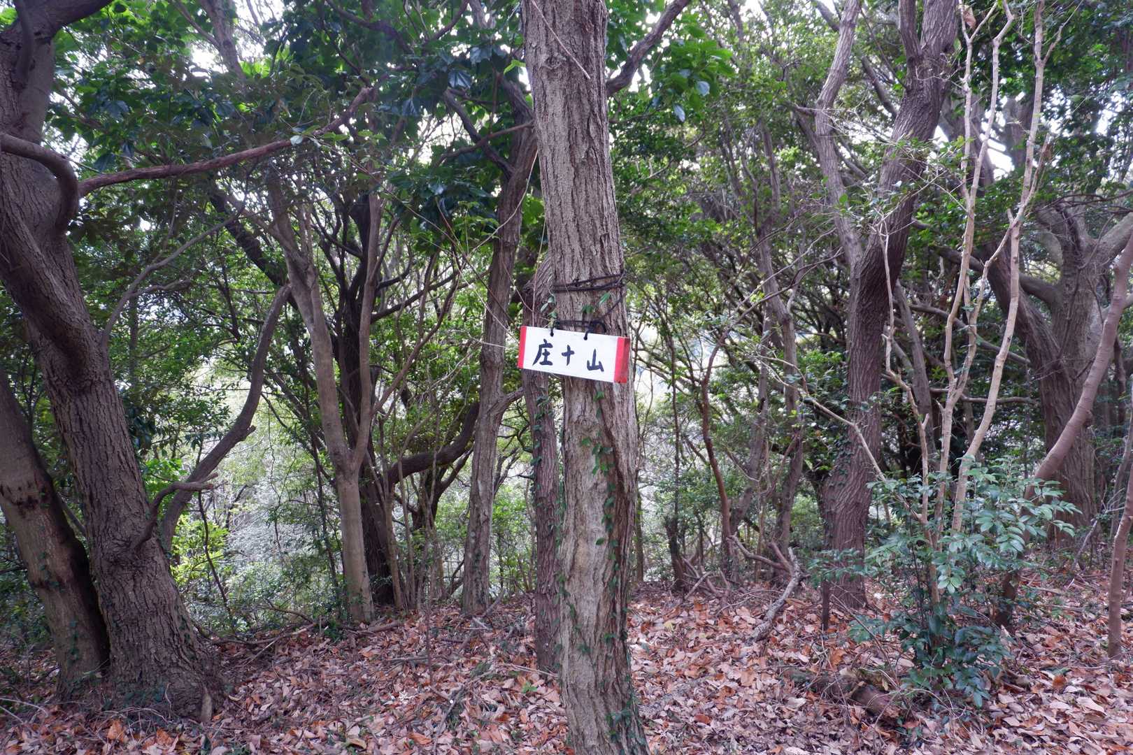 庄十山。