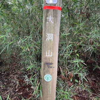 #7 大洞山