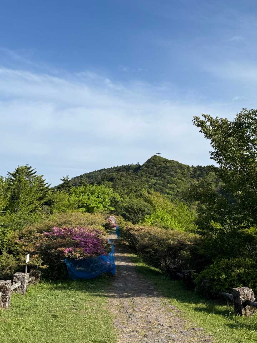 この道をひたすら進むのだけど山の上に鉄塔があるけどその手前みたい