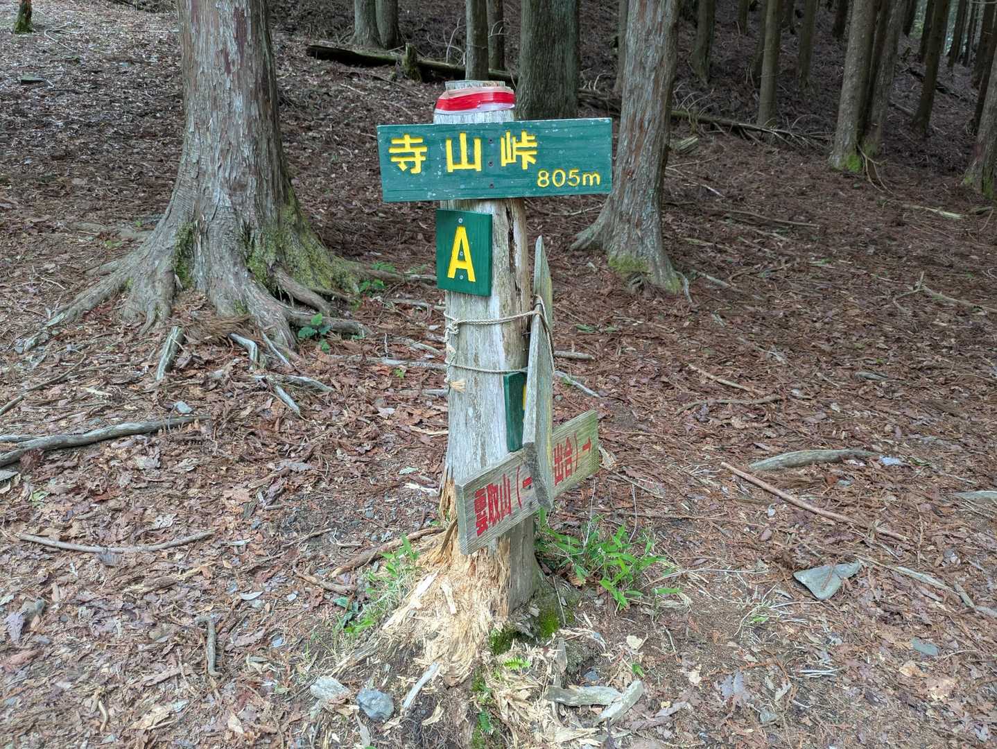 花脊高原前バス停-雲取峠-雲取山 往復コースの写真