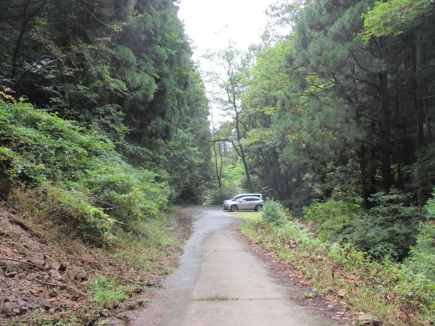 裏参道登山口Pは未だ余裕がありました
