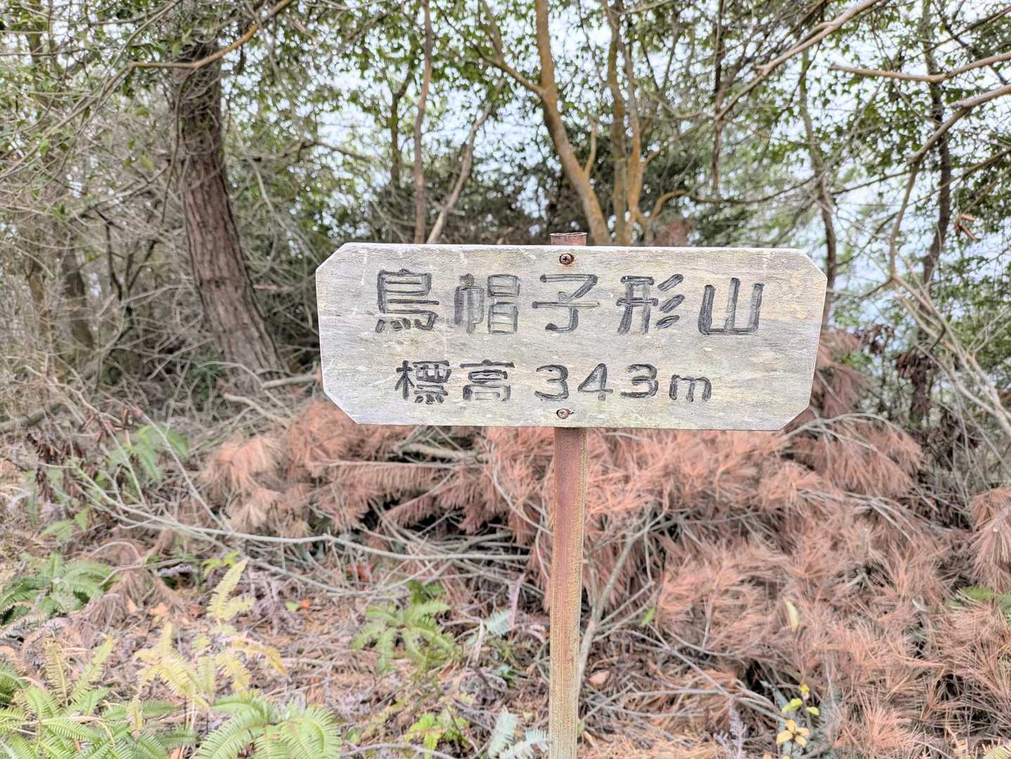 ⑥烏帽子形山
予定の12時、良い感じ♪