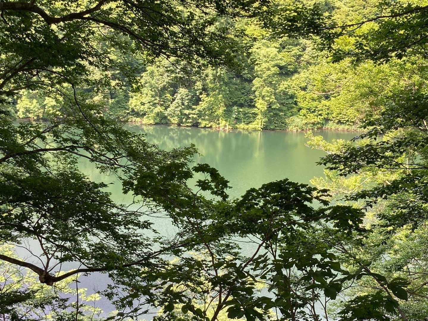 布倉越-番屋山 周回コースの写真