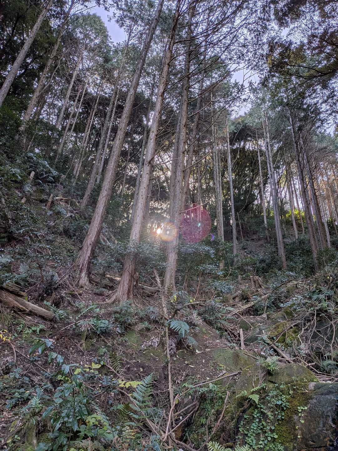 叶岳登山口-叶岳-高地山 周回コースの写真
