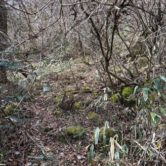 六甲山・長峰山・摩耶山 笹の急登