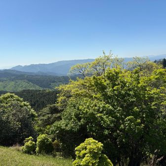 青山高原の風車も見えてる