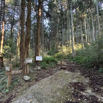 無事  宇土浦越登山口へ下山…🙌