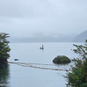 芦ノ湖畔まで、下って来ました

