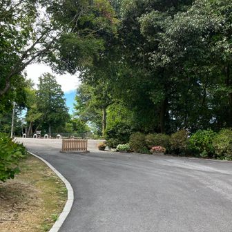 この奥が山頂です。駐車場があり、車でも登ってくることができます🚗