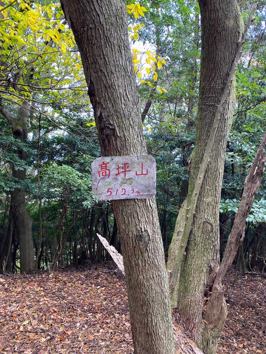 高坪山に到着！
次は、六地蔵に行こうかな^ ^