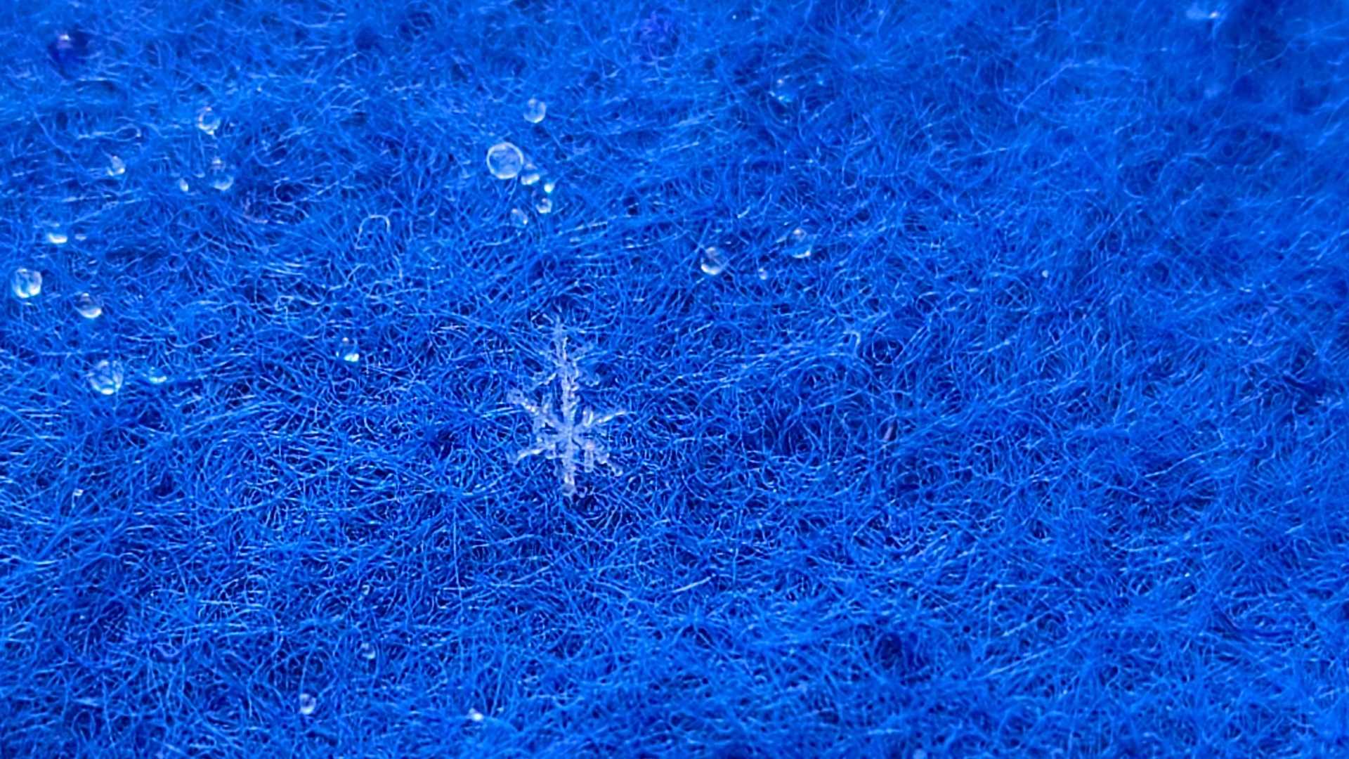 今日は雪もチラチラ
雪の結晶ありました📸