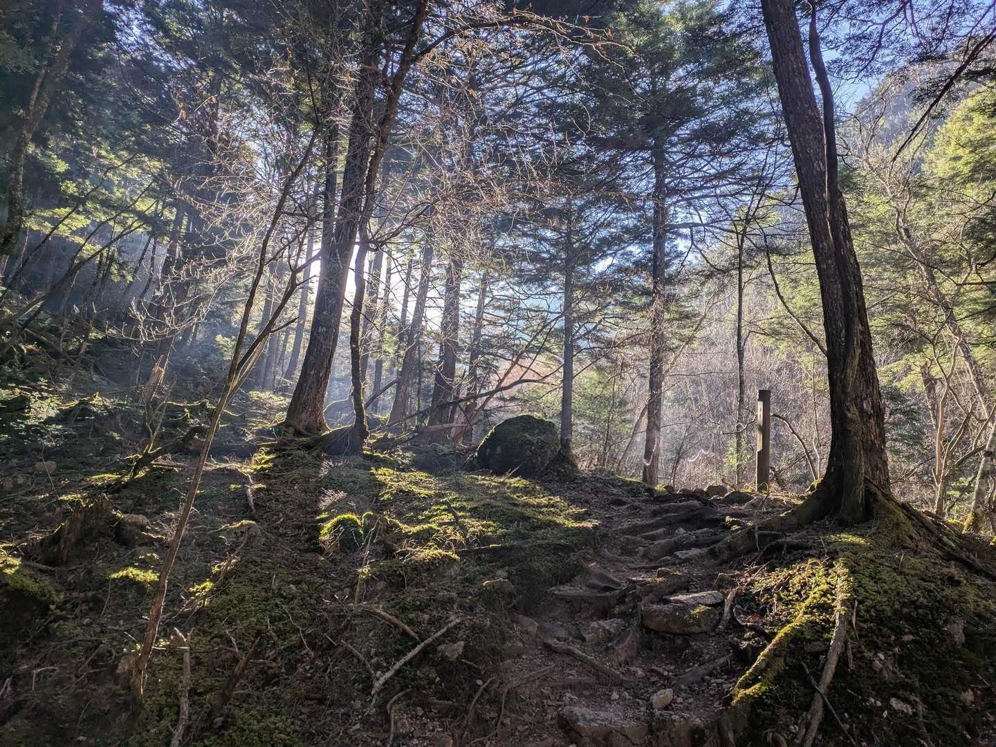 みずがき山自然公園-不動滝-瑞牆山-富士見平小屋 周回コースの写真
