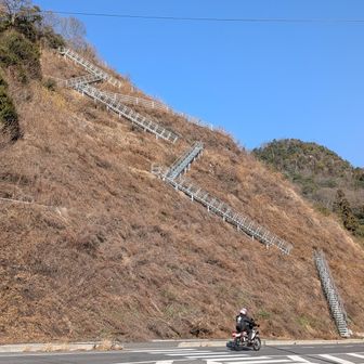 みんなで降りると面白い(笑)