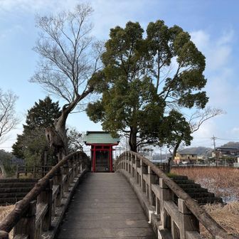 耕作用に造られた溜池の中に厳島神社⛩️が