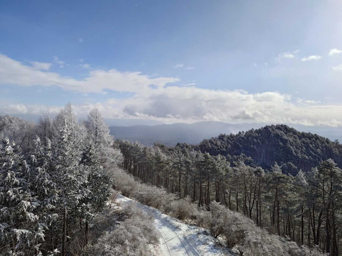 大城山-鶴ヶ峰 周回コースの写真