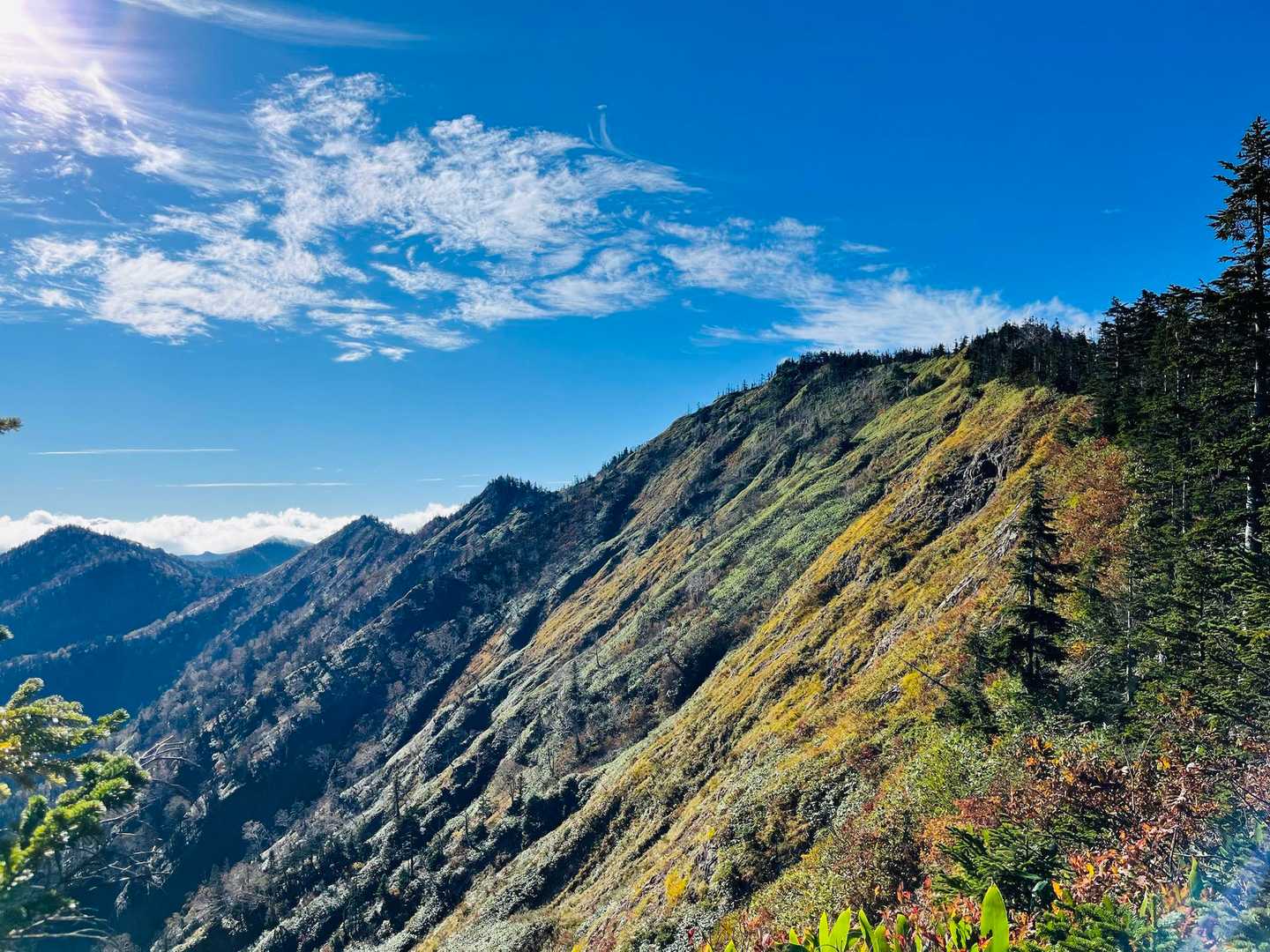 これが見たかったー！
佐武流山の斜面一面に広がる紅葉
しばし見惚れました