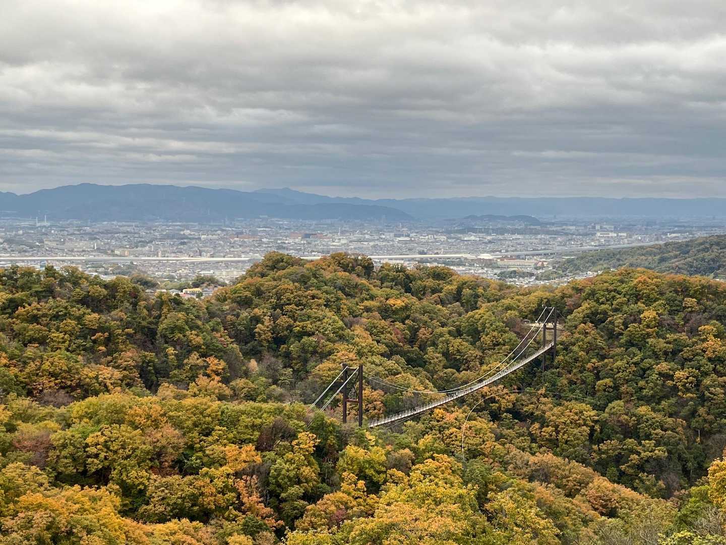 星田連山｜大阪西部の里山探訪。吊橋「星のブランコ」を渡ろう！の写真