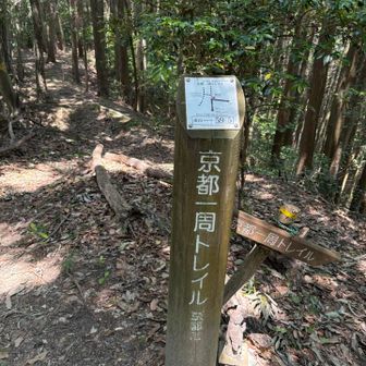 人が居なすぎて…