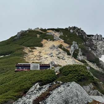 やっと‼️やっと山頂がみえたよー😂