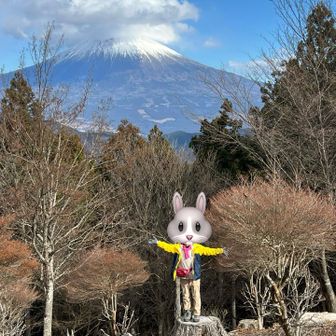 富士山雲がかかり始めた