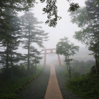 幻想的な空間。これはこれで素晴らしい！無事、戻って来れて良かった良かった。ソフトクリームは逃したけれど、山麓駅の売店で美味しいカスタードワッフル食べました😋
「山頂どうでした？」と声を掛けてくれた女性。駐車場で車中泊して、明日、登るという７０歳の方でした。山岳部出身で山歴４８年！なんと明後日は移動して安達太良山に登るそうです😲翌日はバッチリ朝から快晴で、見ることが出来なかった大展望を、さぞ堪能されたと思うと私も嬉しい。体の自然な衰えを感じつつ、だからこそ登り続けたいとおっしゃってました。気づけば１０分はお話してたかな～、いい話聞かせてもらいました😊