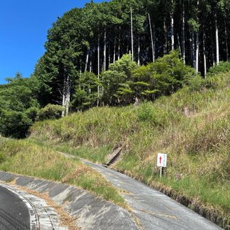 蔵持山登山口^_^