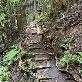 引き返してコースに復帰