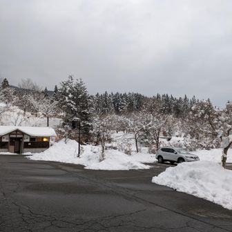 月曜日、フォレストさんお休み😴　ということで、駐車場🅿️もガラガラです。