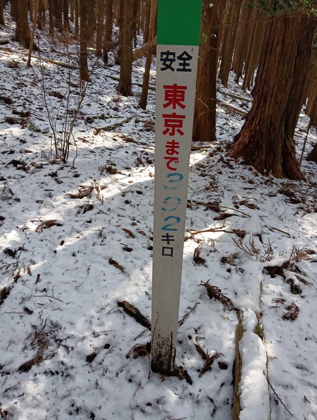 東京まで392キロだって😸