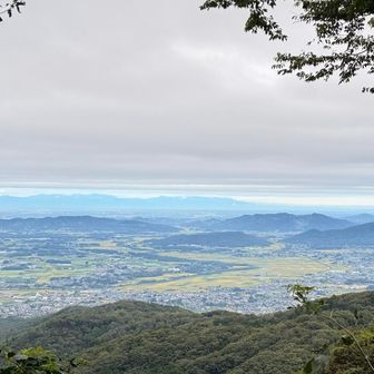 おぉ、関東平野が見えた✨