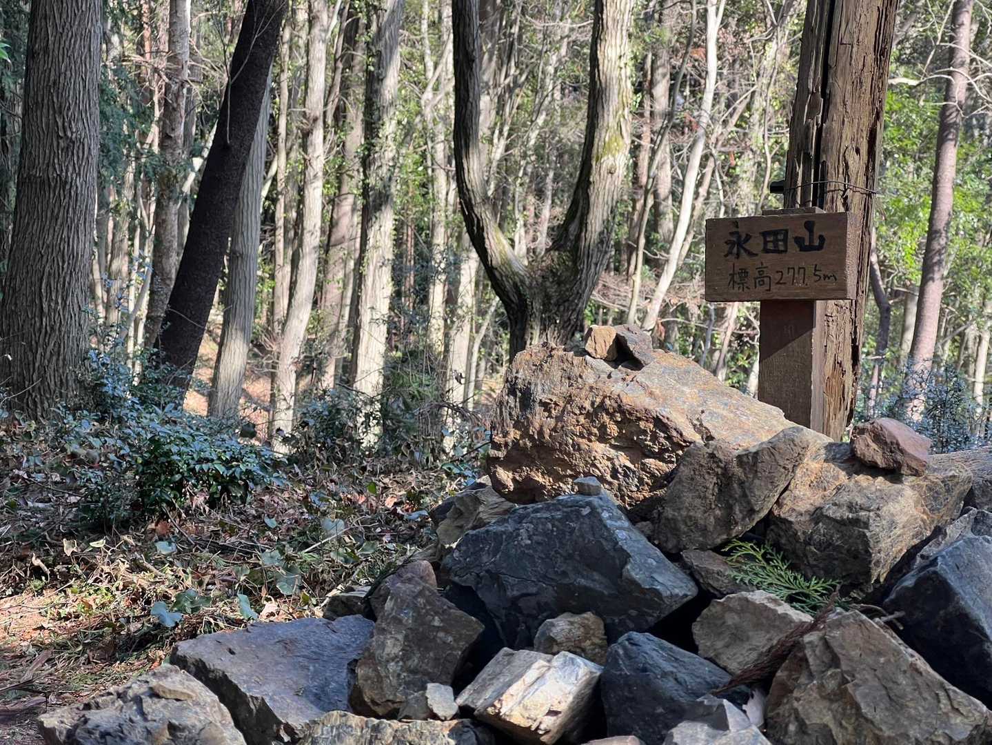 永田山(久須美ケルン)