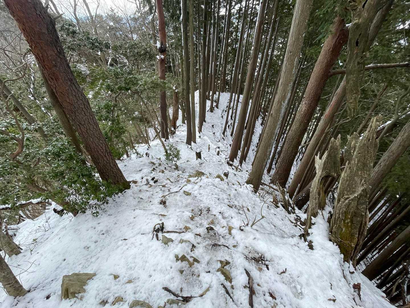 昨年の大会で転げ落ちた場所がおそらくこちら。雪が積もっていると雰囲気が全く違いますね。。。