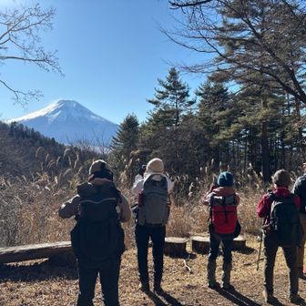 樹林帯手前の絶景ポイント。名残惜しくて何枚も撮ってしまう。