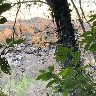 北鎌倉駅側の展望