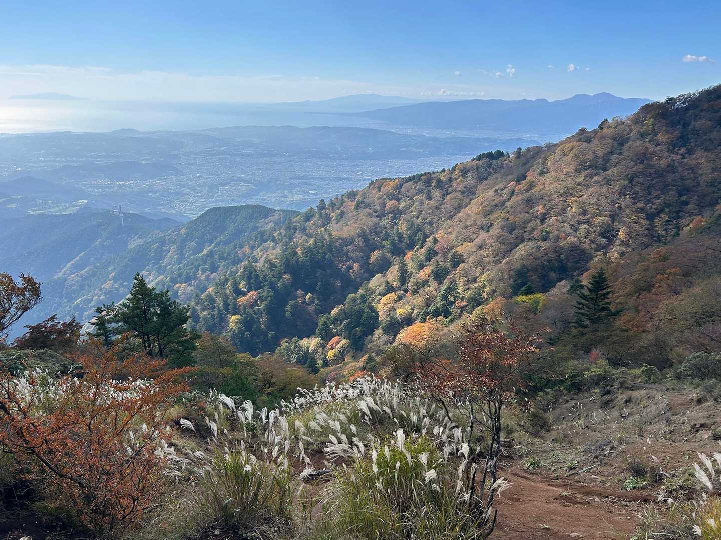 土山峠バス停-辺室山-物見峠-三峰山-唐沢峠-矢草ノ頭-大 縦走コースの写真