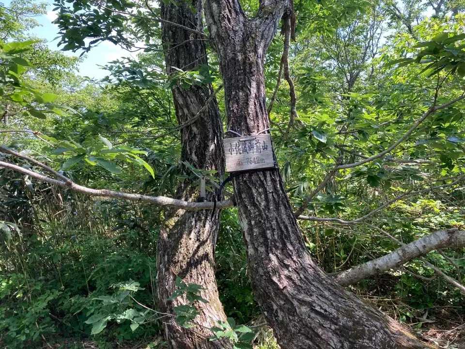 小佐波御前山の写真