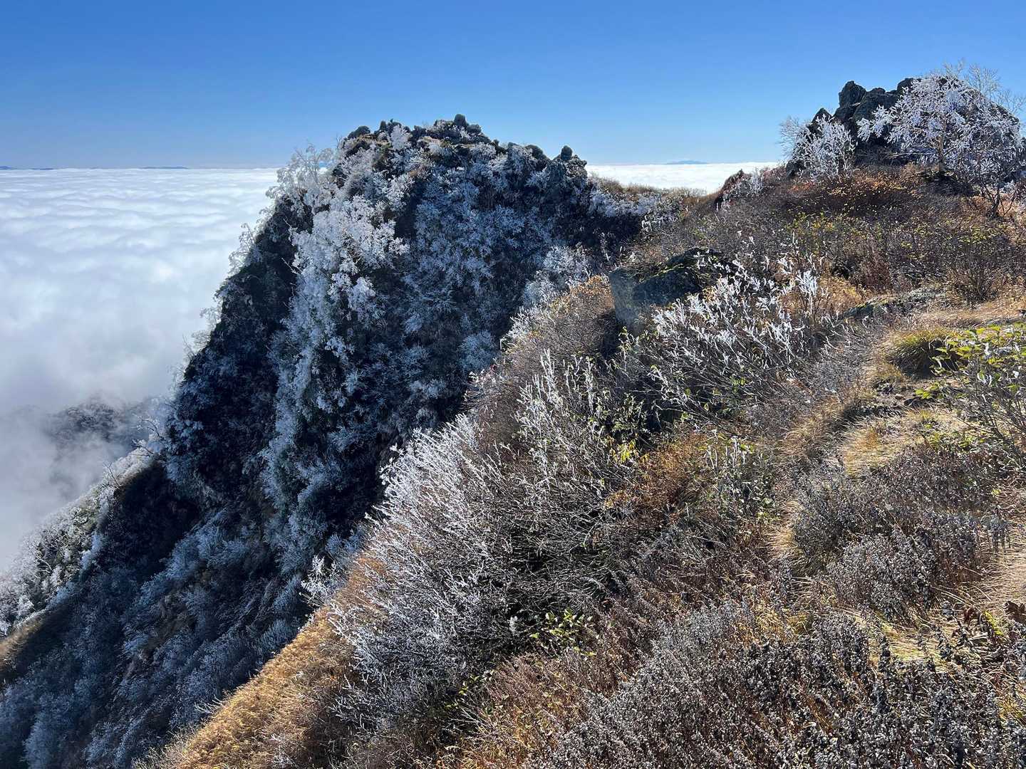 妙高の南峰

ずっと眺めてられる☁️𓂂𓏸
特別感満載☁️𓂂𓏸