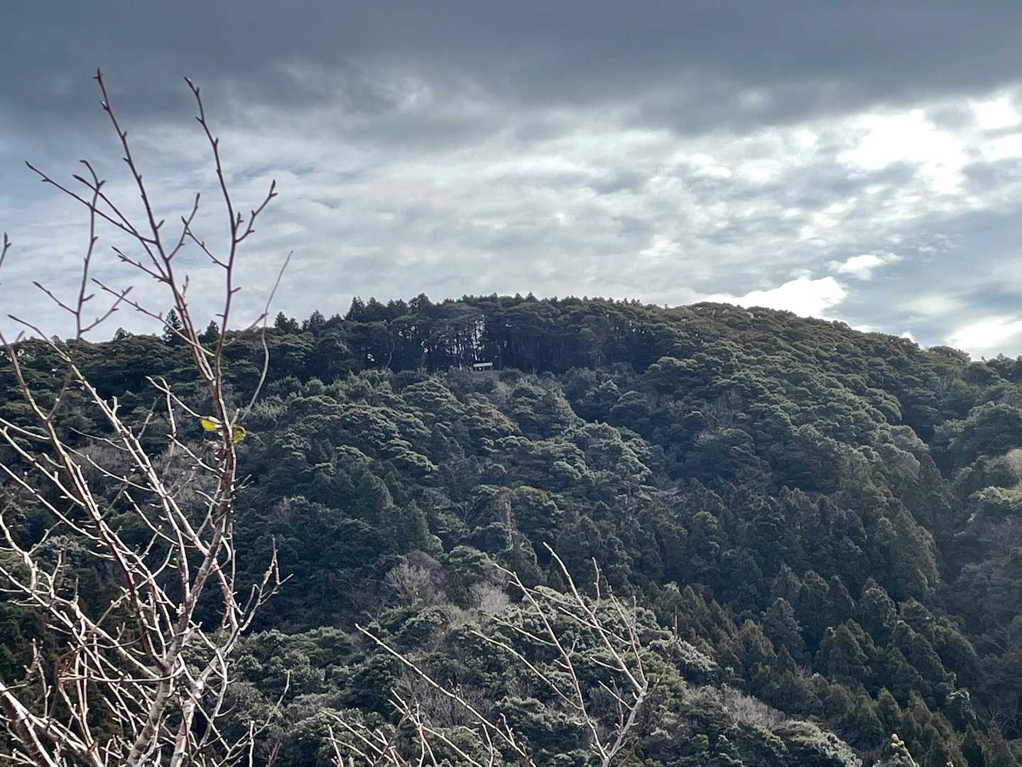 さっきまでいた、二ツ山山頂