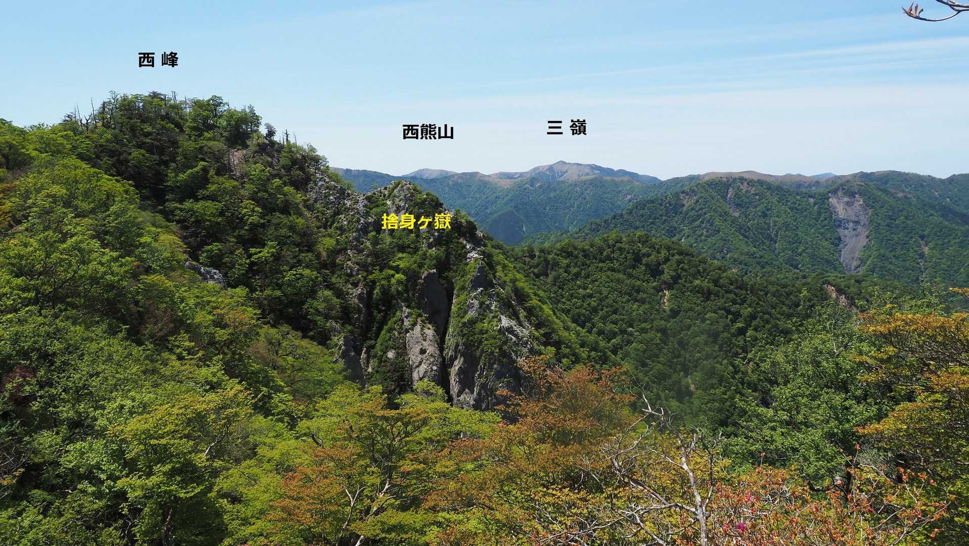石立山山頂へ向かう途中から捨身ヶ嶽、三嶺
今年はシロヤシオが裏年で寂しい