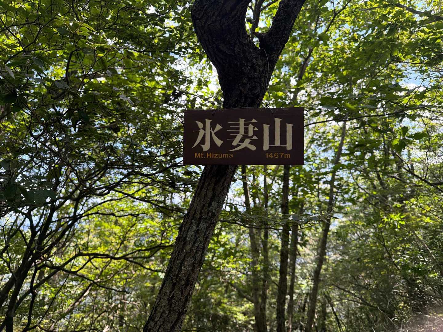 数値からして鼻曲山は余裕だろうと思っていたが、氷妻山までがえらく遠く感じた。

お腹がぐるぐる鳴る。
補給もせずに急いで出発してしまったが、どうやらお腹が空いていたらしい😫

飲み物飲み過ぎて空腹感に気がつかなかった〜
補給食も持っていなかったので、シャリバテの恐怖との闘いとなる。
