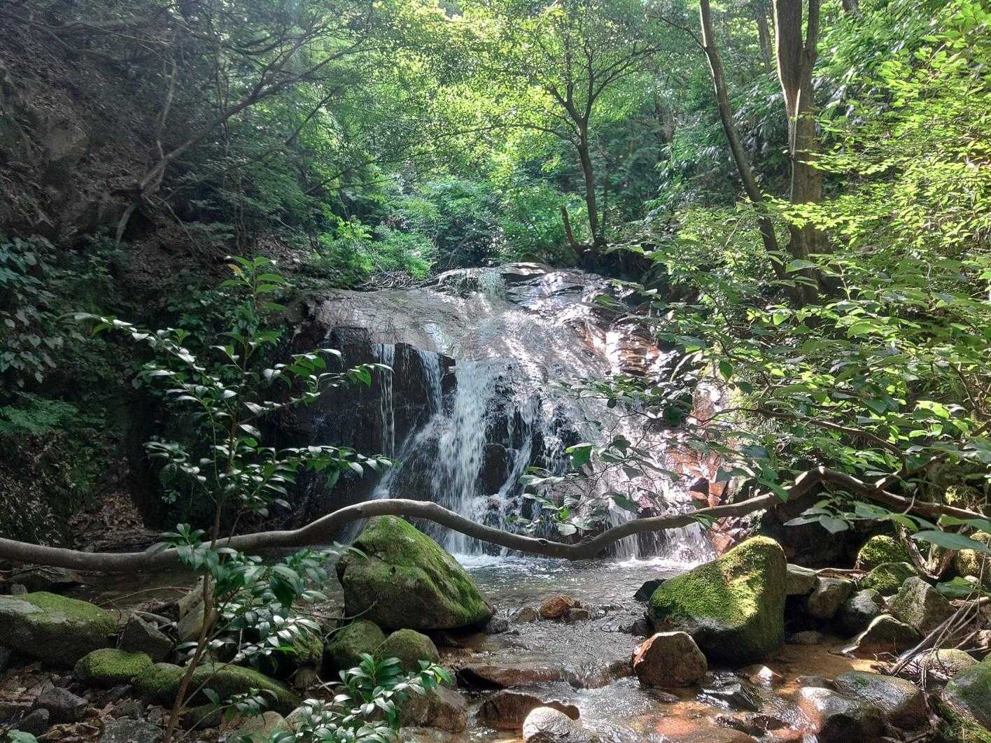たくさんの渡渉があり、沢沿いはひんやり気持ちいい✨