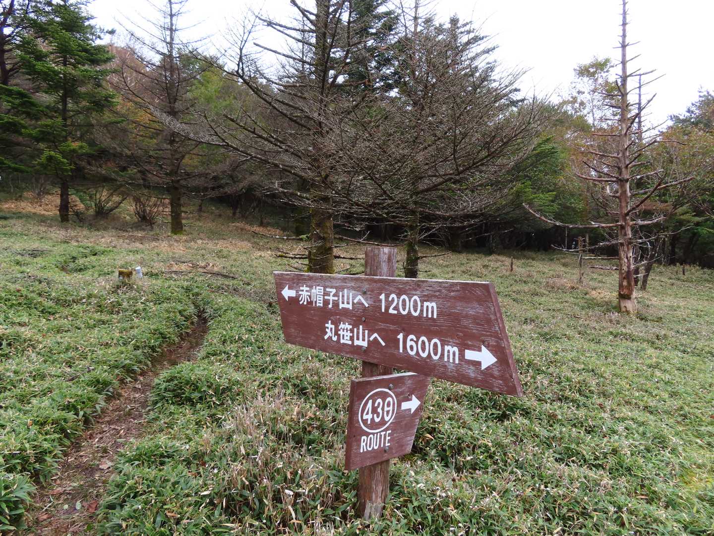 登って下って、広い尾根に出て・・・を何度か繰り返す
ここでくんちゃん組から「赤帽子山の手前まで来た」という連絡
速いなぁ！