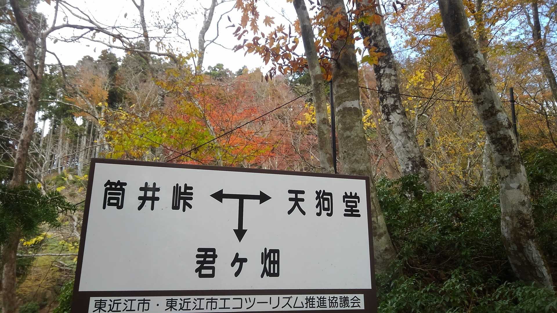 天狗堂-P924-サンヤリ-岩尾谷登山口-君ヶ畑バス停 周回コースの写真
