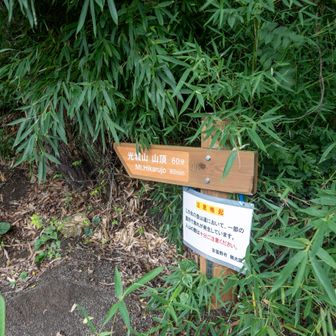 田沢城跡コース
久しぶり