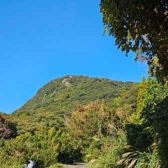 無事下山できました(*^^*)
楽しいお山でした♬.*ﾟ