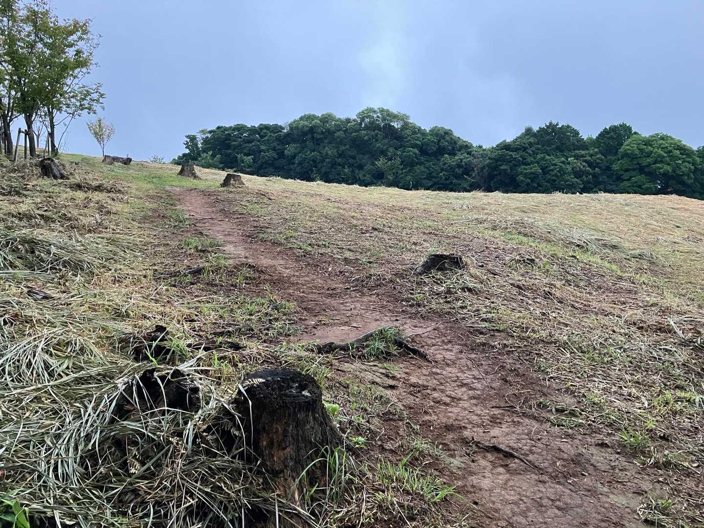 草ボウボウだと思ってたら、きれいに刈られてました
ありがとうございます( * . .)"