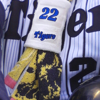 tigers.22