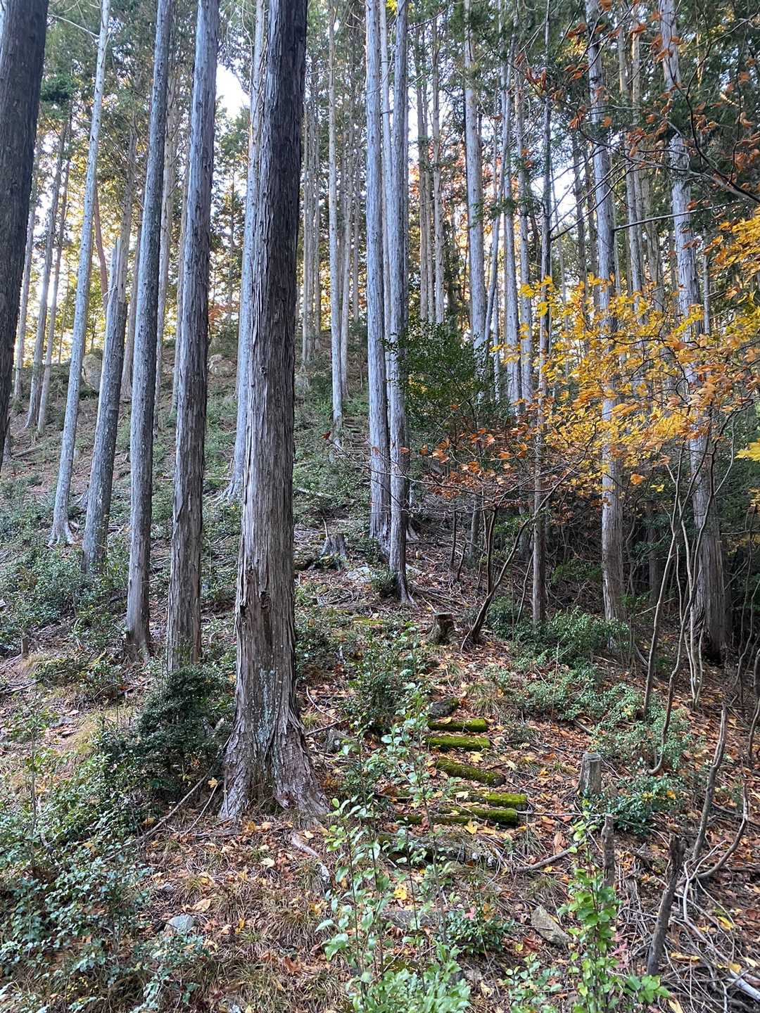 登山口！