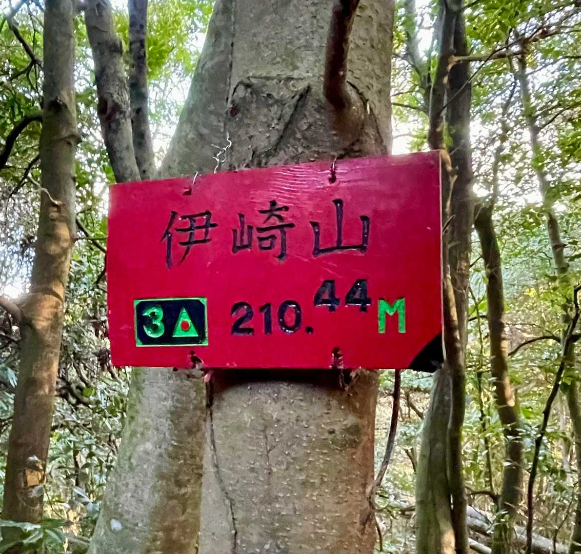堀切港バス停-伊崎山 往復コースの写真